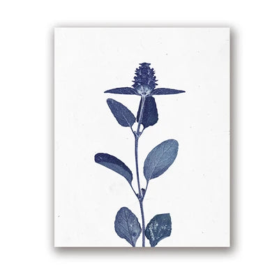 Pressed Blue Wild Flowers Wall Art Canvas Painting Hampton Style Posters Botanical Prints Blue and White Pictures Home Decor