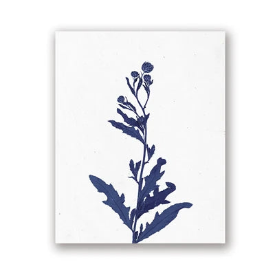 Pressed Blue Wild Flowers Wall Art Canvas Painting Hampton Style Posters Botanical Prints Blue and White Pictures Home Decor
