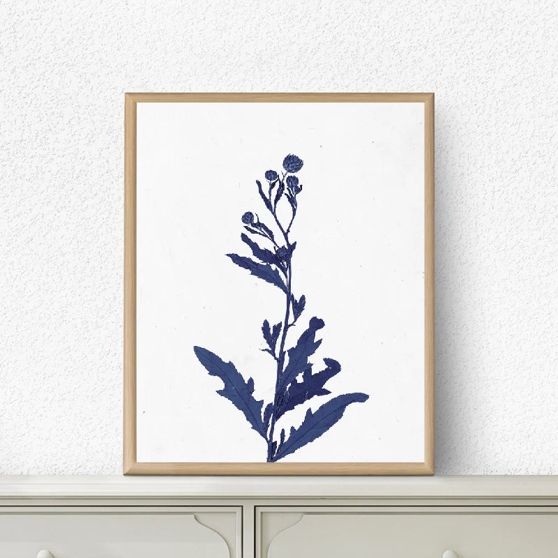 Pressed Blue Wild Flowers Wall Art Canvas Painting Hampton Style Posters Botanical Prints Blue and White Pictures Home Decor
