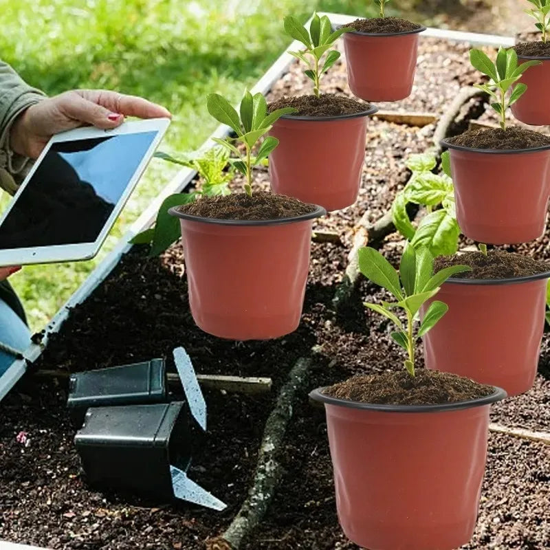 Plastic Seeding Nursery Pot Black Red Plants Nursery Pots Seedling Cups Grow Box Planters Home Garden Potted Container Wholesale