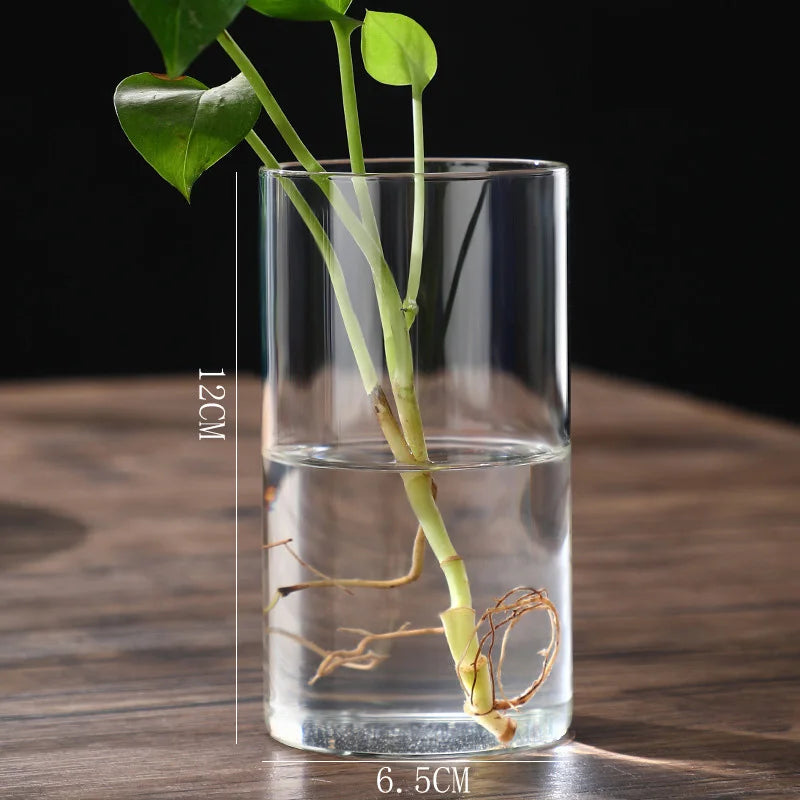 Glass Cylinder Vases Glass Hydroponic Vase Transparent Glass Vase Candle Holders Clear Flower Vase for Tables Wedding Decor