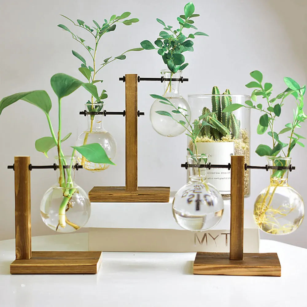 Planter Vases Flower Pot Hydroponic Plant Glass Decor Terrarium Wooden Stand Hydroponic Propagation Station Indoor Desktop Decor