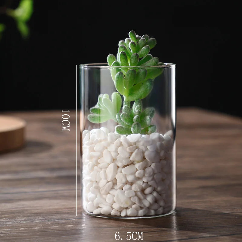 Glass Cylinder Vases Glass Hydroponic Vase Transparent Glass Vase Candle Holders Clear Flower Vase for Tables Wedding Decor