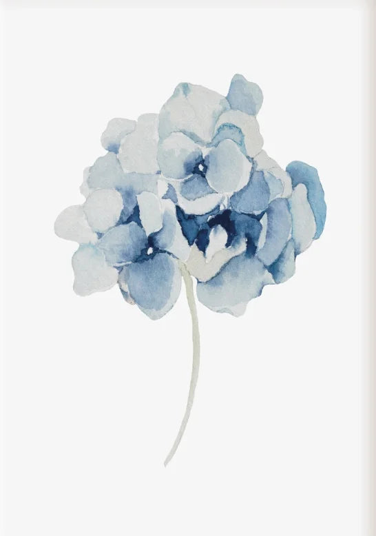 1/3Pcs Hamptons Provincial Poster, Hydrangea Blue Floral Flower Prints, Modern Coastal Home Decor Wall Art