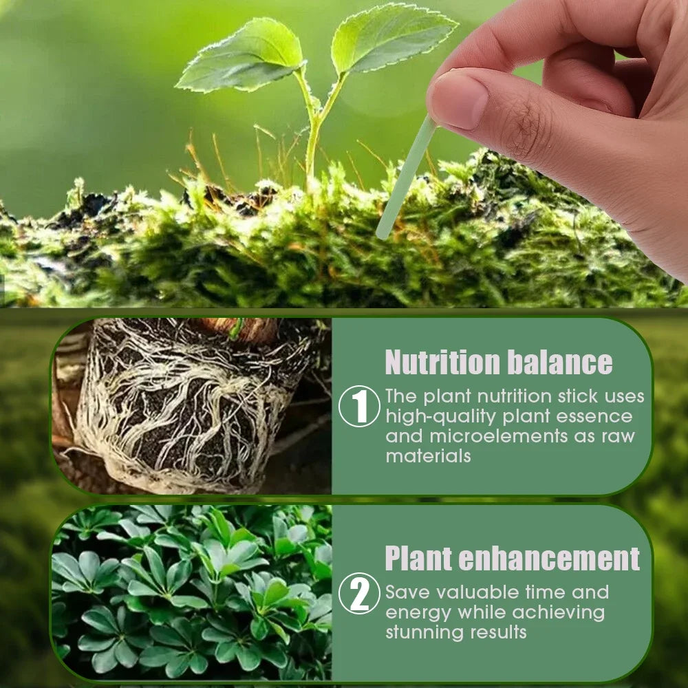 36/18Pcs Plant Rooting Fertilizer New Indoor Potted Plant Growth Enhancer Bar Universal Plant Nutrition Stick Garden Supplies