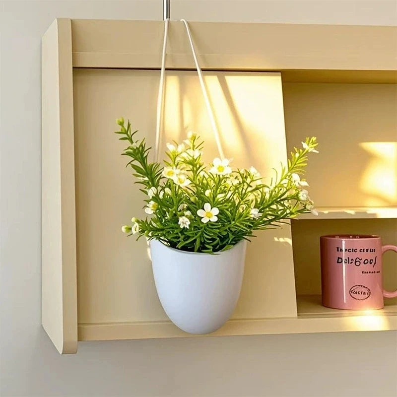 Creative Wall White Mounted Flowerpot Serie Succulent Flowerpot Flower Basket Flower Arrangement Decoration Garden Decoration