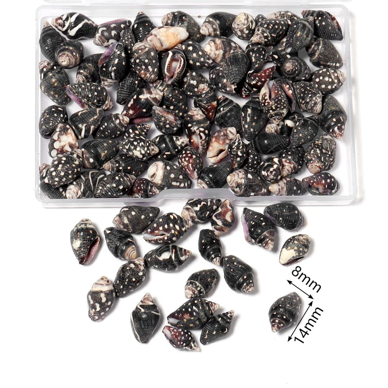 1 Box Sea Shells Spiral Shell Tiny Ocean Spiral Seashells Crafts Aquarium Decoration Landscaping Accessories Photography Props