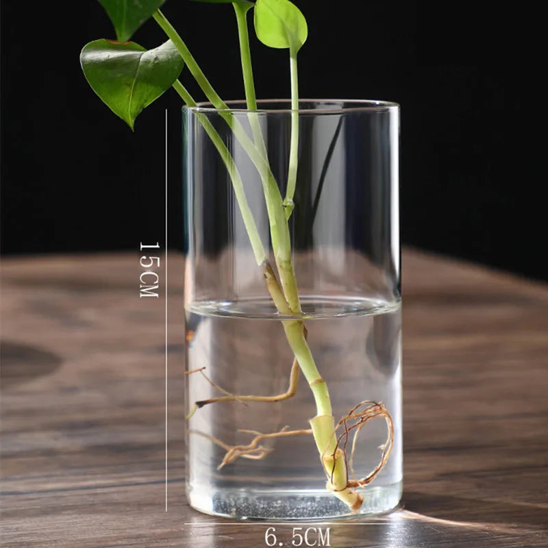Glass Cylinder Vases Glass Hydroponic Vase Transparent Glass Vase Candle Holders Clear Flower Vase for Tables Wedding Decor