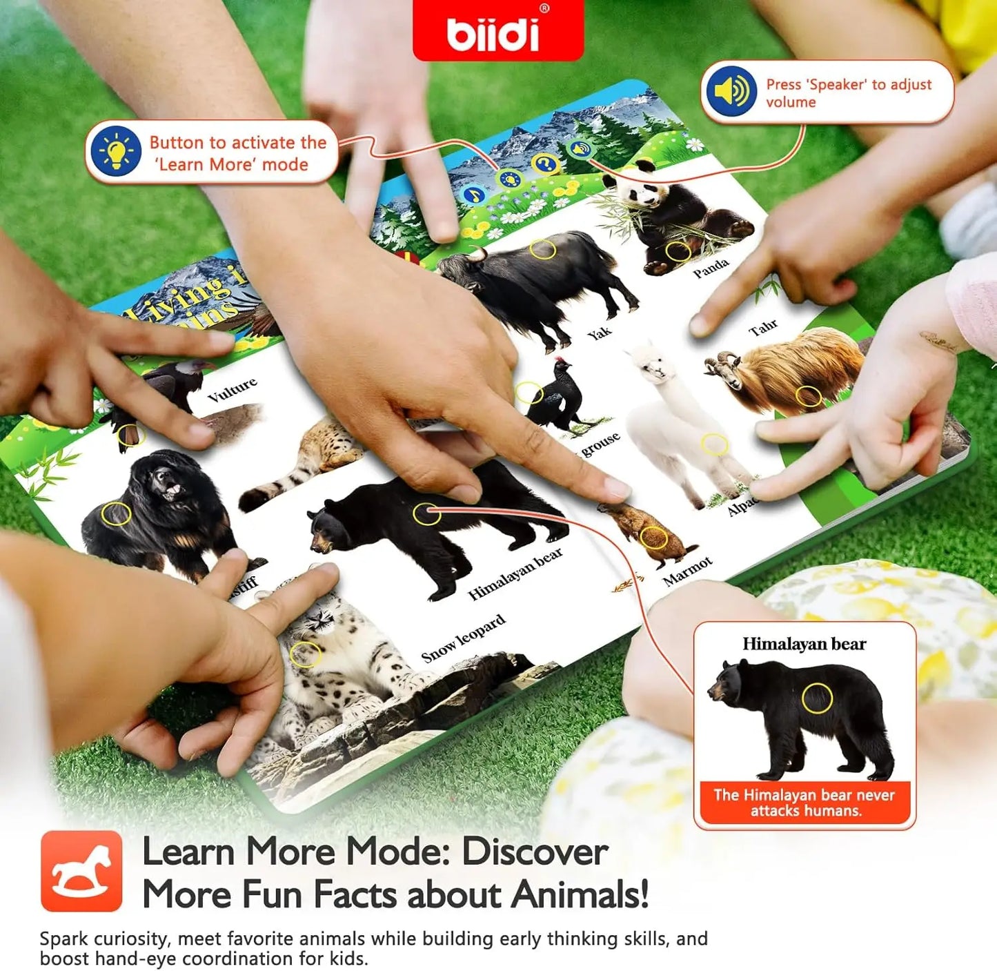 English Animal Sound Talking Book Autism Sensory Therapy Toys for Children Kids Travel Early Education Interactive Learning Aids