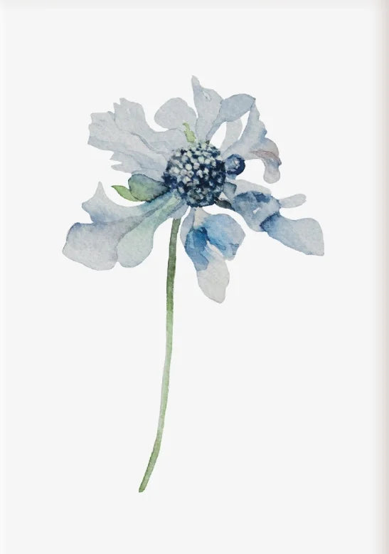 1/3Pcs Hamptons Provincial Poster, Hydrangea Blue Floral Flower Prints, Modern Coastal Home Decor Wall Art