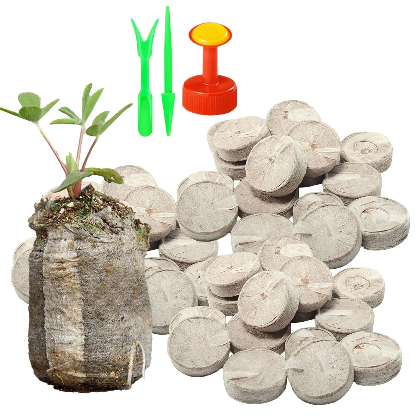 100Pcs 30mm Peat Pellets With Trays Seed Starting Soil Pellets For Indoor Outdoor Gardening Hydroponic Vegetable Flower Bed Farm