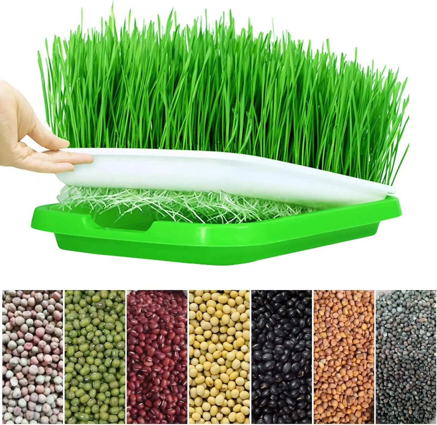 Microgreens Sprouter Tray Hydroponic/Sprouting Tray For Sprout Horticultural Hydroponic Systems Tray Garden Nursery Potted