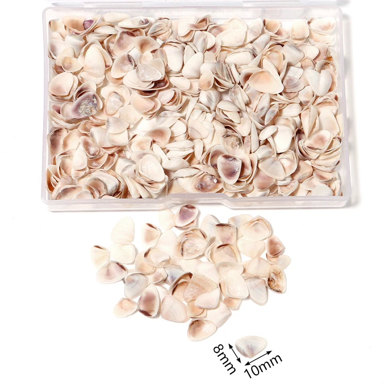 1 Box Sea Shells Spiral Shell Tiny Ocean Spiral Seashells Crafts Aquarium Decoration Landscaping Accessories Photography Props