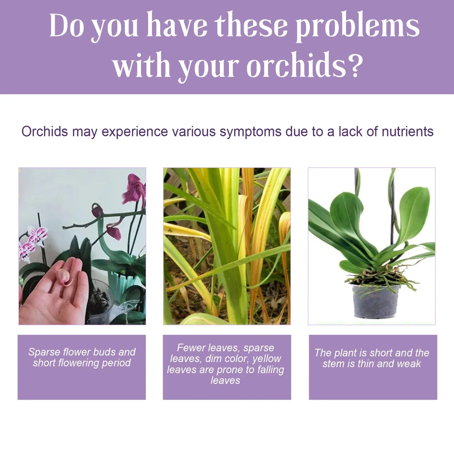 50ml Orchid Special Liquid Flower Fertilizer Hydroponic Garden Plant Nutrition Growth Supplement Compound Nutrients for Flowers