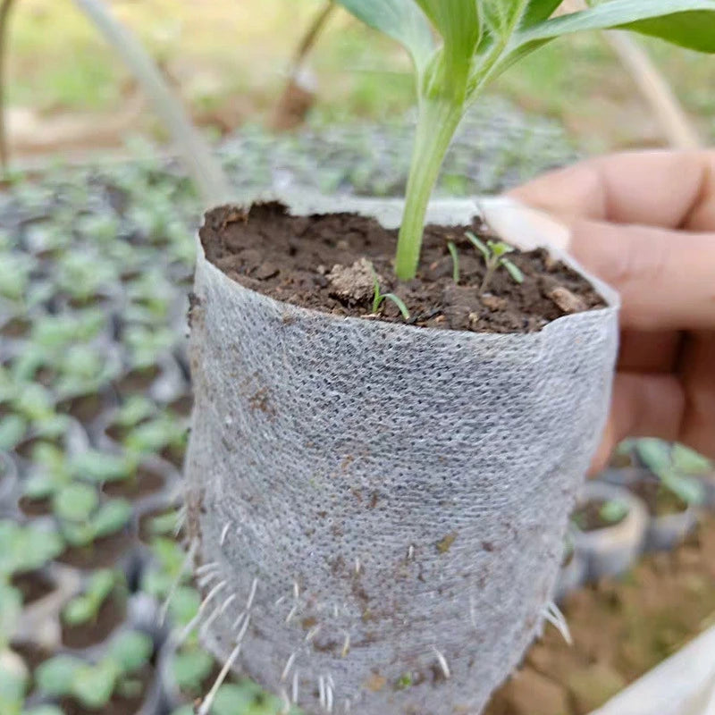 50/100/250Pcs Hydroponic Rockwool Growing Medium, Professional Soilless Cultivation Cubes for Seed Starting & Plant Propagation