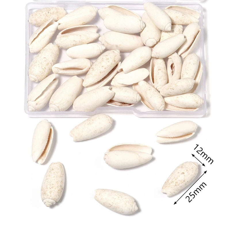 1 Box Sea Shells Spiral Shell Tiny Ocean Spiral Seashells Crafts Aquarium Decoration Landscaping Accessories Photography Props