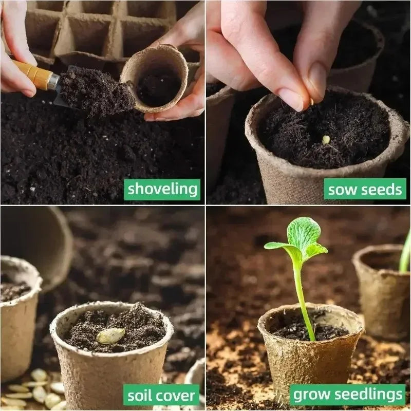 Peat Pots Biodegradable Transplanters Pulp Paper Flower Plant Seedlings Pots Seed Germination Tray Eco Garden Starter Kit