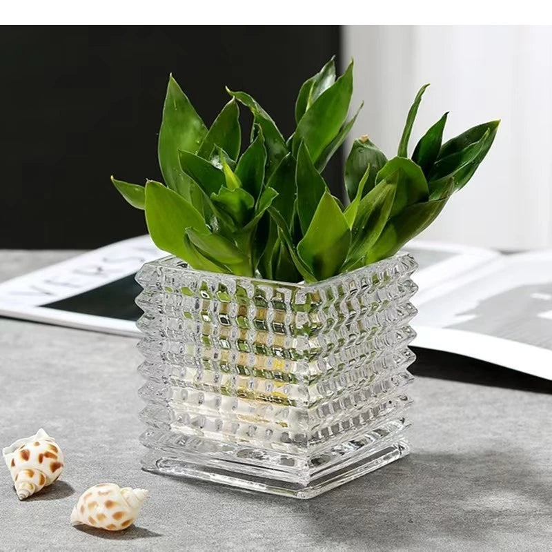 Clear Square Glass Vase Geometric Flower Pot Floral Arrangement Accessories Terrarium Home Decoration