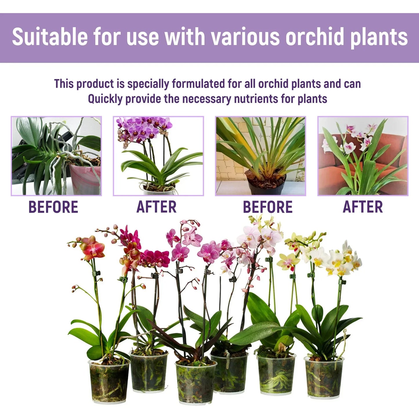 50ml Orchid Special Liquid Flower Fertilizer Hydroponic Garden Plant Nutrition Growth Supplement Compound Nutrients for Flowers