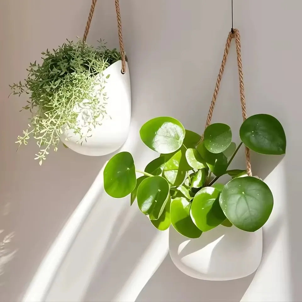Creative Wall White Mounted Flowerpot Serie Succulent Flowerpot Flower Basket Flower Arrangement Decoration Garden Decoration