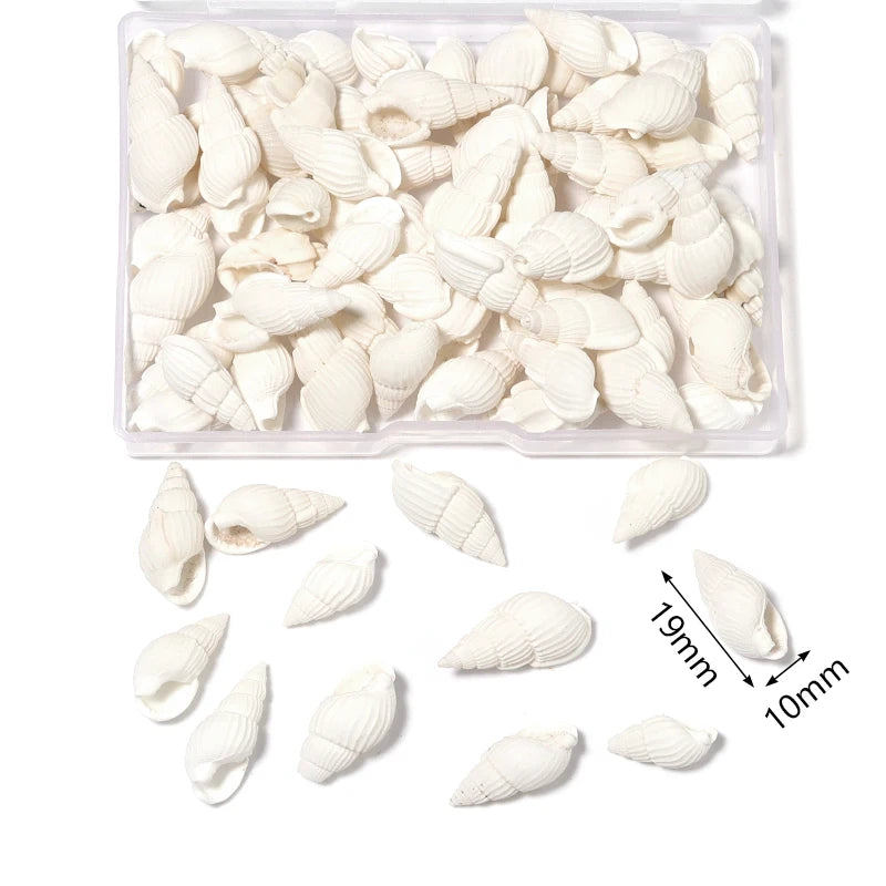 1 Box Sea Shells Spiral Shell Tiny Ocean Spiral Seashells Crafts Aquarium Decoration Landscaping Accessories Photography Props