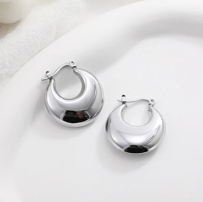 Fashion Glossy Stainless Steel Chunky Hoop Earrings for Women Gold Plated Thick Texture Geometric Circle Earring Vintage Jewelry