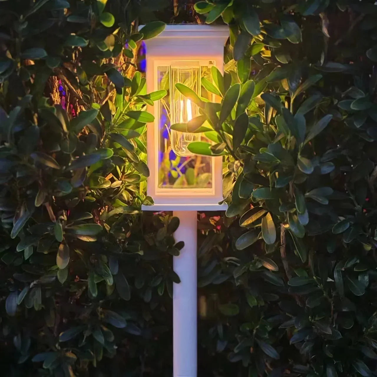 Waterproof LED Solar Lights for Garden Yard Driveway - Automatic Pathway Lighting Outdoor Landscape Lighting Auto On/Off at Dusk