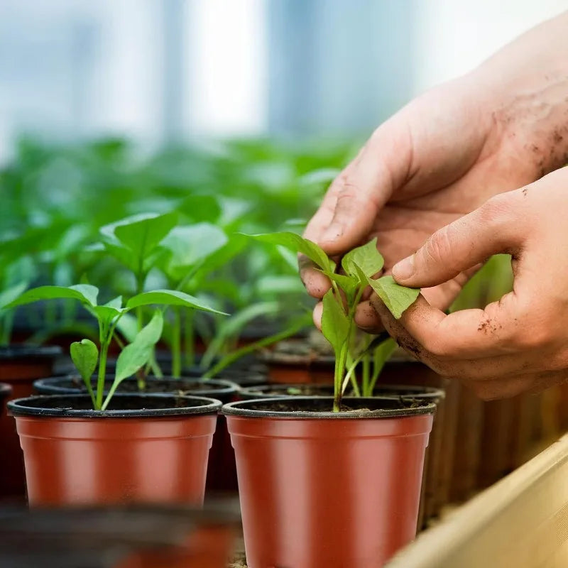 Plastic Seeding Nursery Pot Black Red Plants Nursery Pots Seedling Cups Grow Box Planters Home Garden Potted Container Wholesale