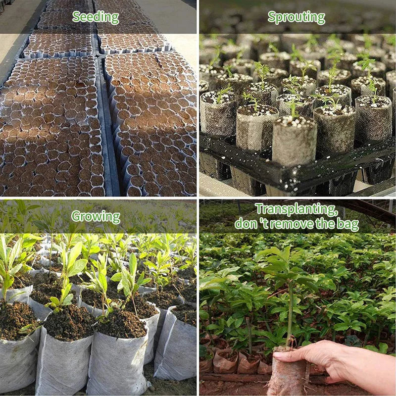 50/100/250Pcs Hydroponic Rockwool Growing Medium, Professional Soilless Cultivation Cubes for Seed Starting & Plant Propagation