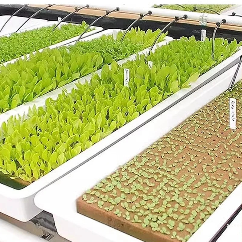 50/100/250Pcs Hydroponic Rockwool Growing Medium, Professional Soilless Cultivation Cubes for Seed Starting & Plant Propagation