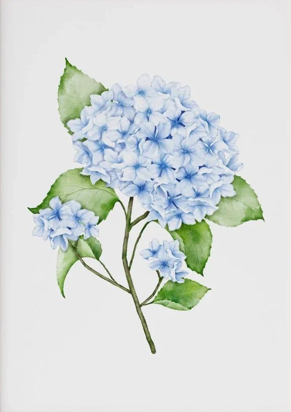 1PC/3PCS Hydrangea Wall Art Prints Light Blue Art Minimalist Flower Print Botanical Room Decor Hamptons Wall Art