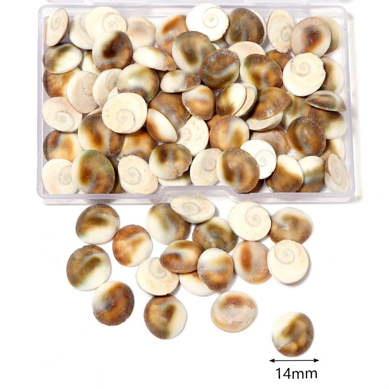 1 Box Sea Shells Spiral Shell Tiny Ocean Spiral Seashells Crafts Aquarium Decoration Landscaping Accessories Photography Props