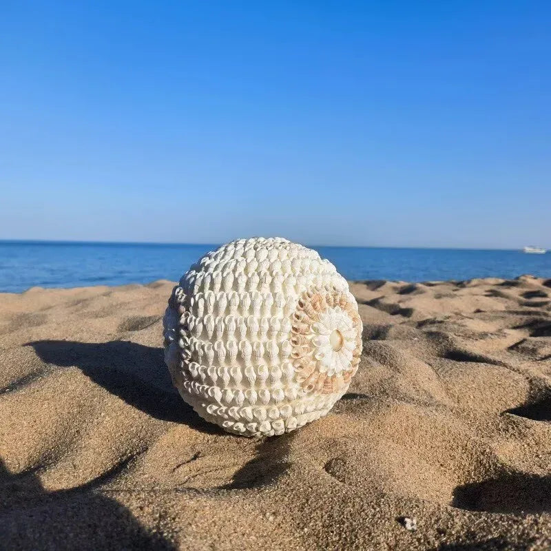 Times Come and Go Natural Conch Shells Handicrafts Creative Home Transfer Beads Decoration Surprise Gifts Home Decor Garden