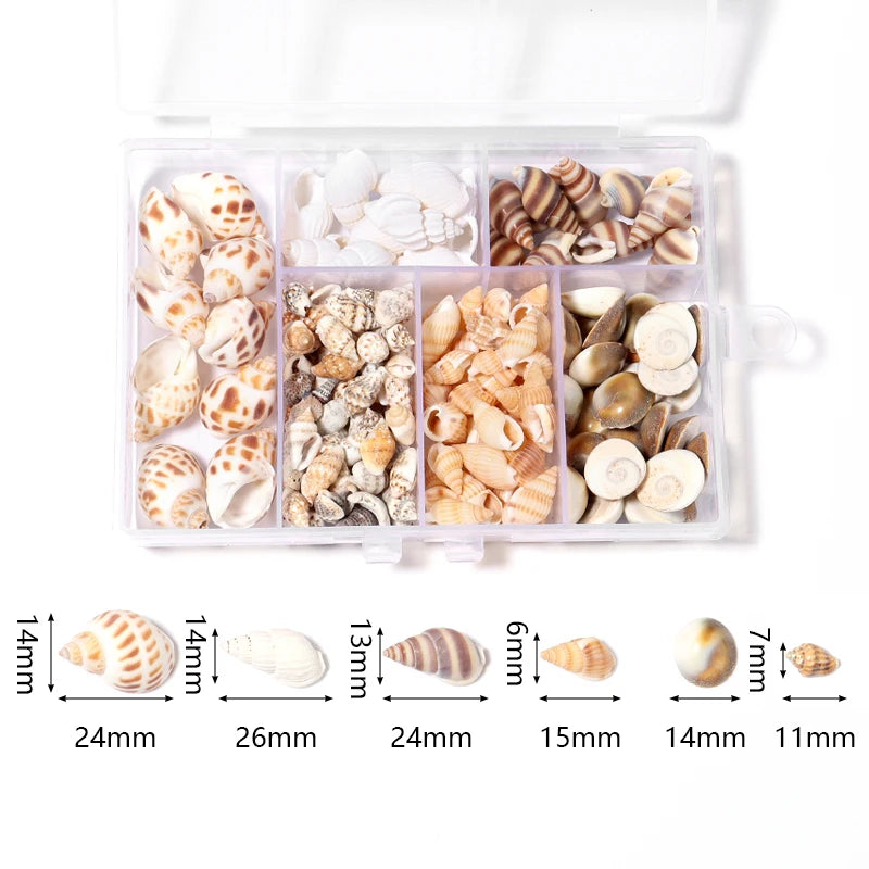 1 Box Sea Shells Spiral Shell Tiny Ocean Spiral Seashells Crafts Aquarium Decoration Landscaping Accessories Photography Props