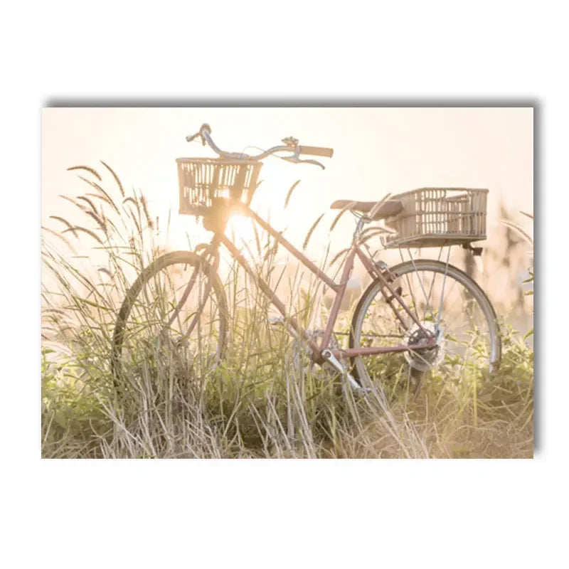 Boho Nordic Beige Beach Starfish Shells Reeds Bike Wall Art Canvas Painting Posters And Prints Pictures Living Room Home Decor