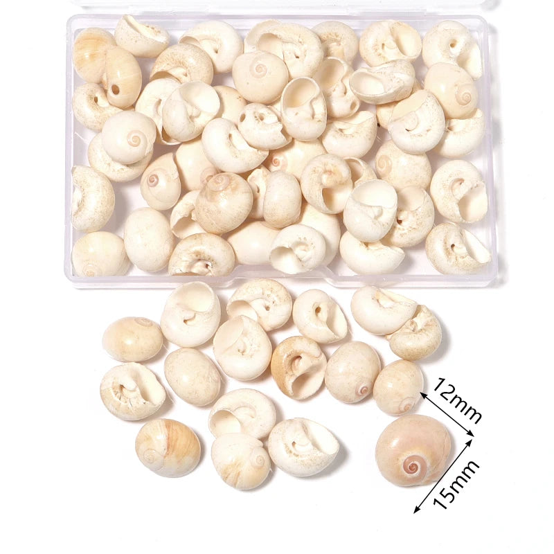 1 Box Sea Shells Spiral Shell Tiny Ocean Spiral Seashells Crafts Aquarium Decoration Landscaping Accessories Photography Props