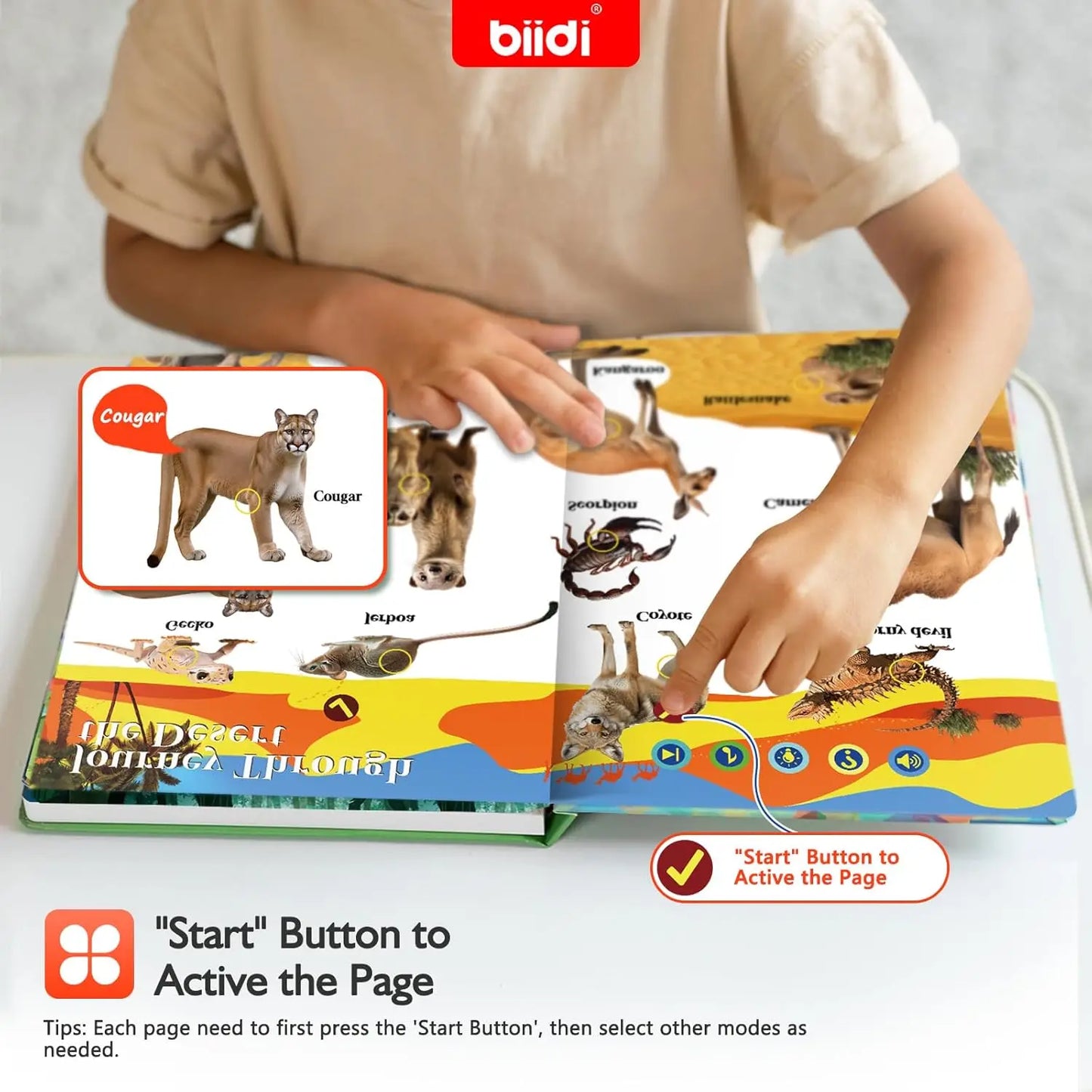 English Animal Sound Talking Book Autism Sensory Therapy Toys for Children Kids Travel Early Education Interactive Learning Aids