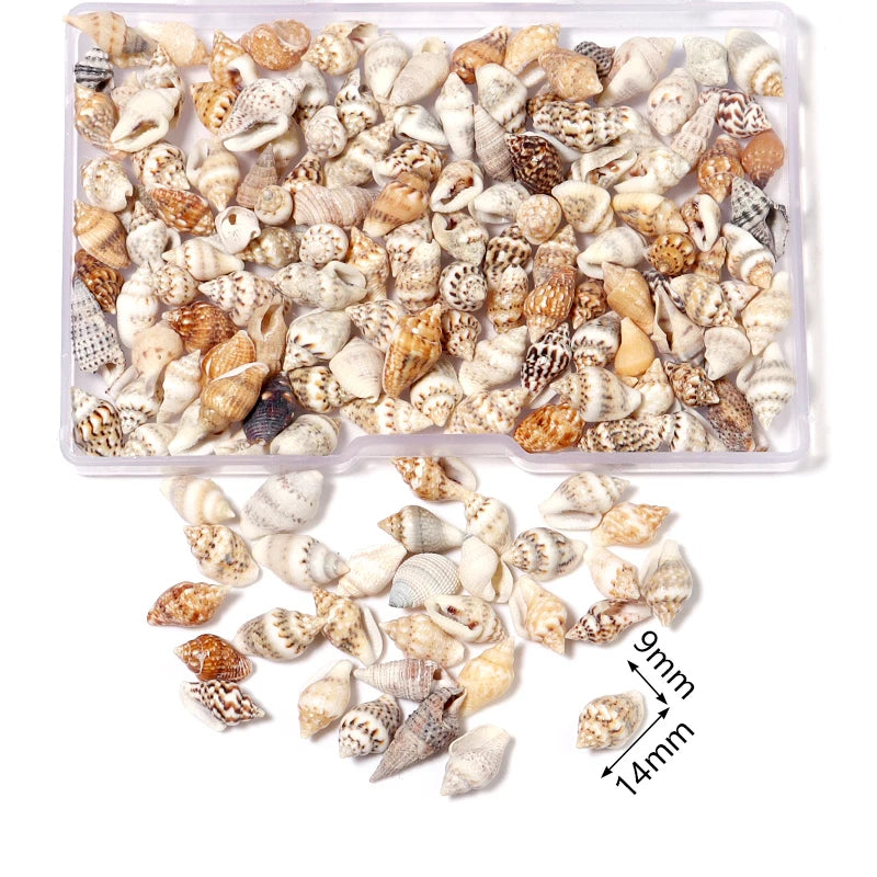1 Box Sea Shells Spiral Shell Tiny Ocean Spiral Seashells Crafts Aquarium Decoration Landscaping Accessories Photography Props