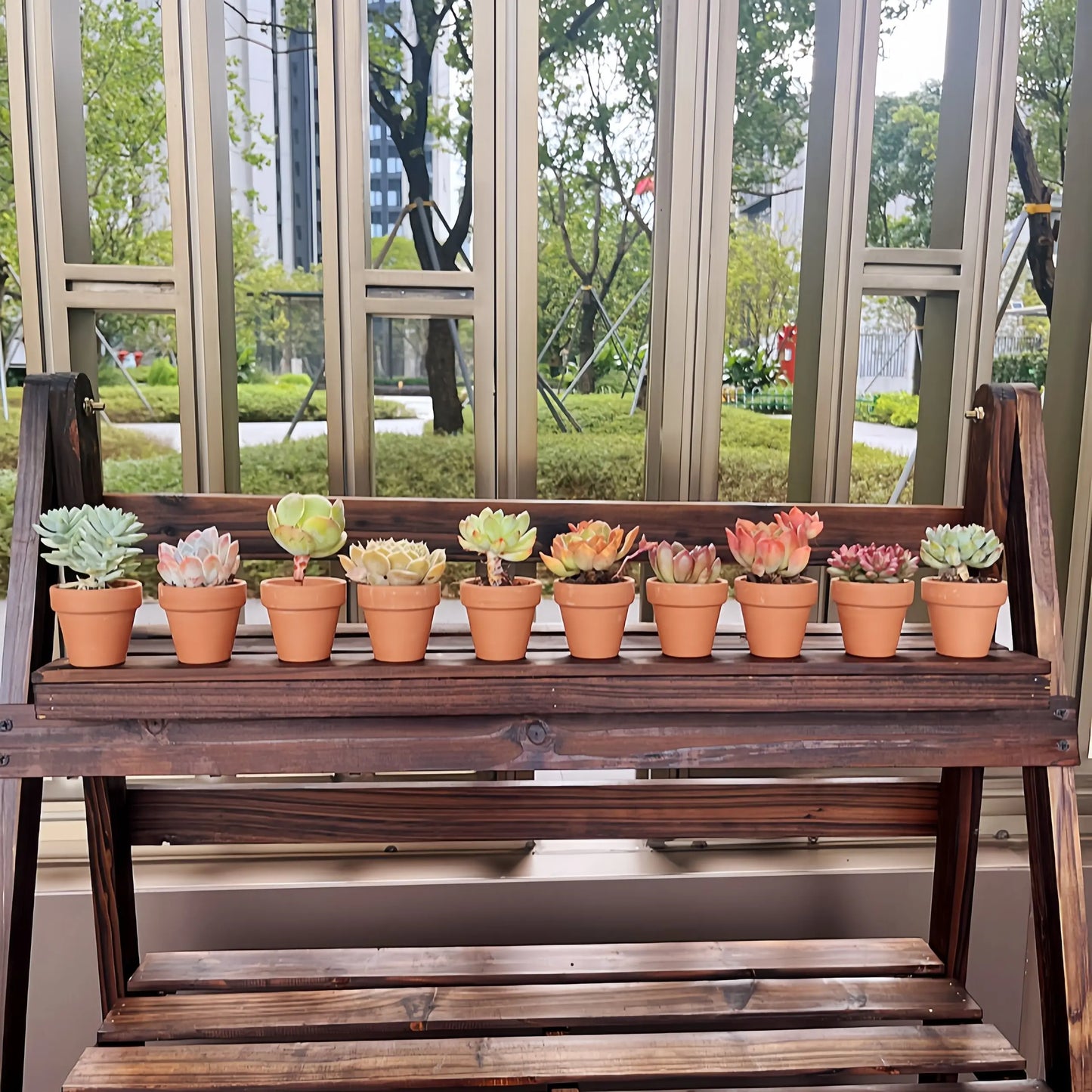 10 Pcs 2.2'' Terra Cotta Pots Pottery Planter Cactus Flower Pot Succulent Pot with Drainage Hole- Great for Plants,Crafts
