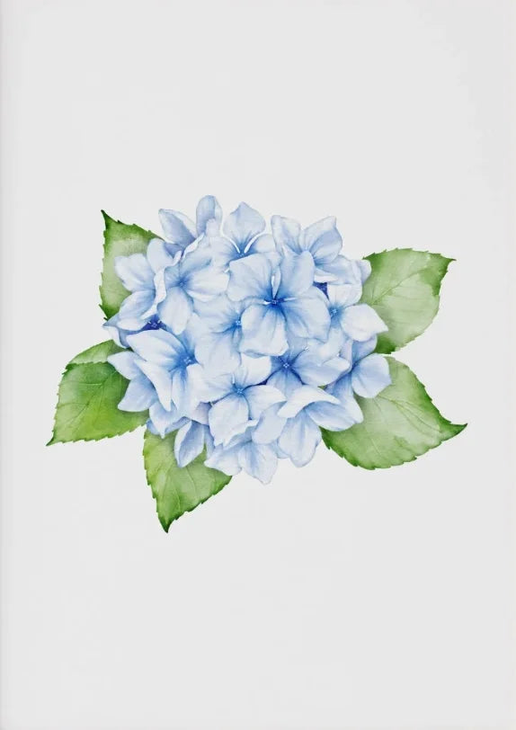 1PC/3PCS Hydrangea Wall Art Prints Light Blue Art Minimalist Flower Print Botanical Room Decor Hamptons Wall Art