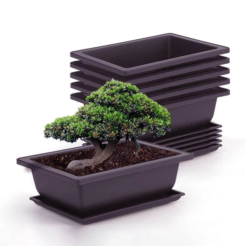 Outdoor Garden Landscape Bonsai Tray Square Rectangular Flowerpots Imitation Purple Clay Succulent Plants Pots 	
Pots for Plants