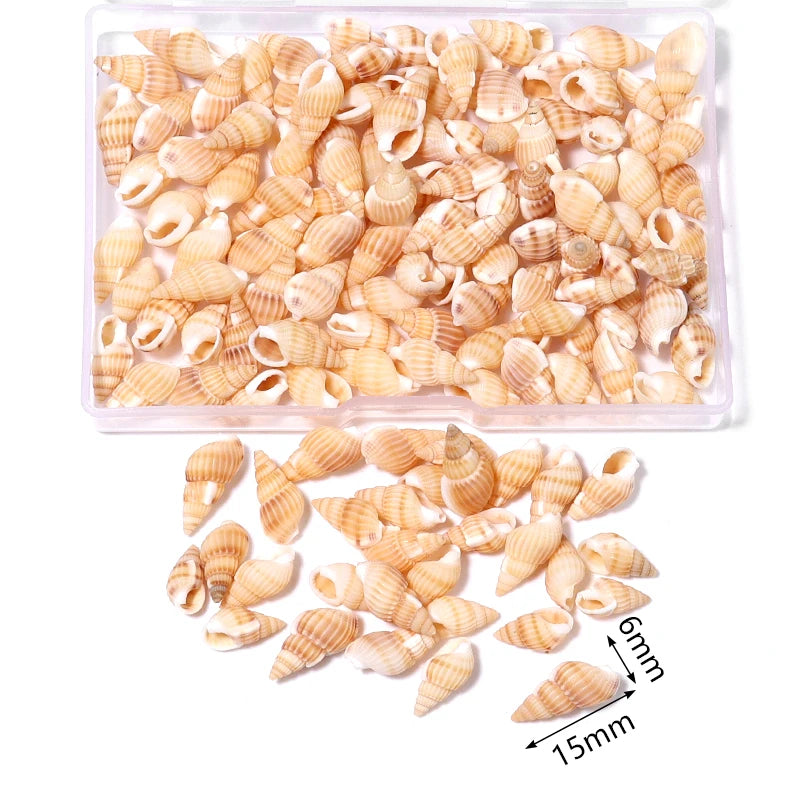 1 Box Sea Shells Spiral Shell Tiny Ocean Spiral Seashells Crafts Aquarium Decoration Landscaping Accessories Photography Props