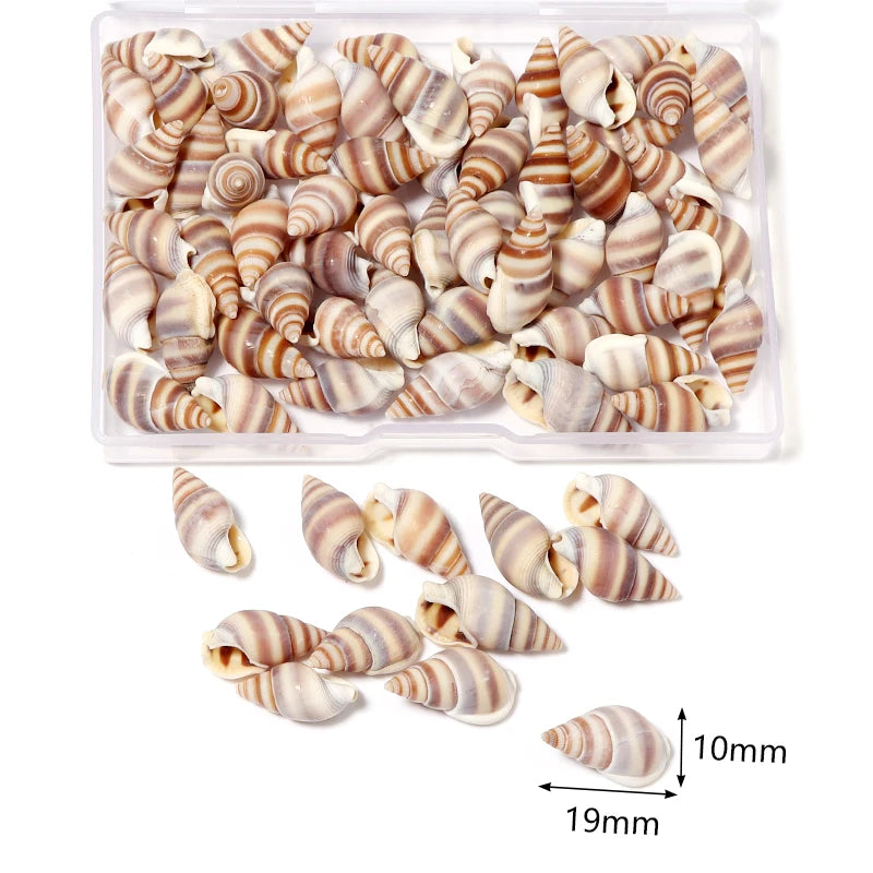 1 Box Sea Shells Spiral Shell Tiny Ocean Spiral Seashells Crafts Aquarium Decoration Landscaping Accessories Photography Props