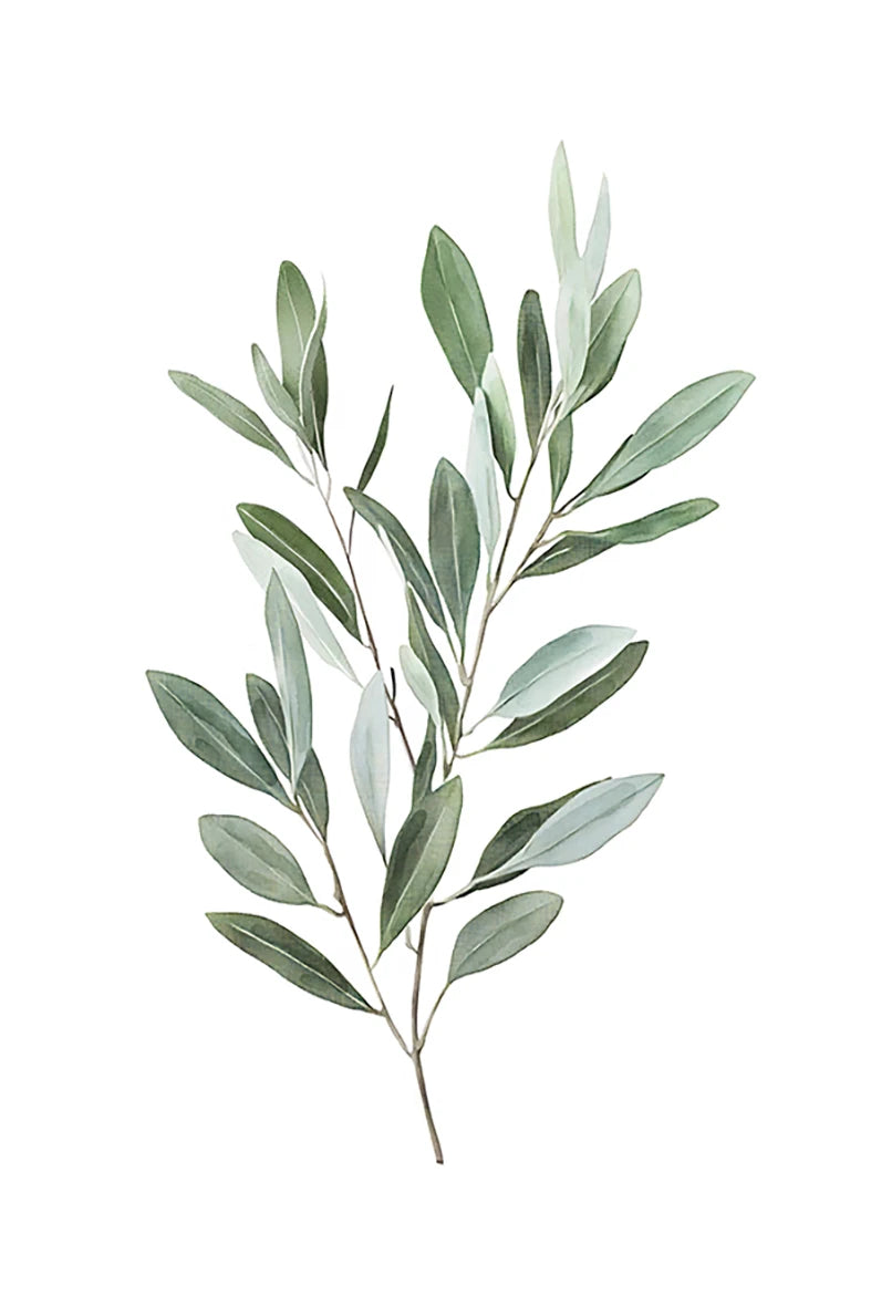1/3pcs Bohemian Sage Green Leaves Prints Poster Modern Botanical Aesthetics Art Prints Wall Art Home Decor Art Poster Gifts