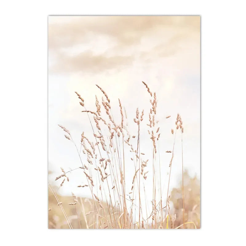 Boho Nordic Beige Beach Starfish Shells Reeds Bike Wall Art Canvas Painting Posters And Prints Pictures Living Room Home Decor