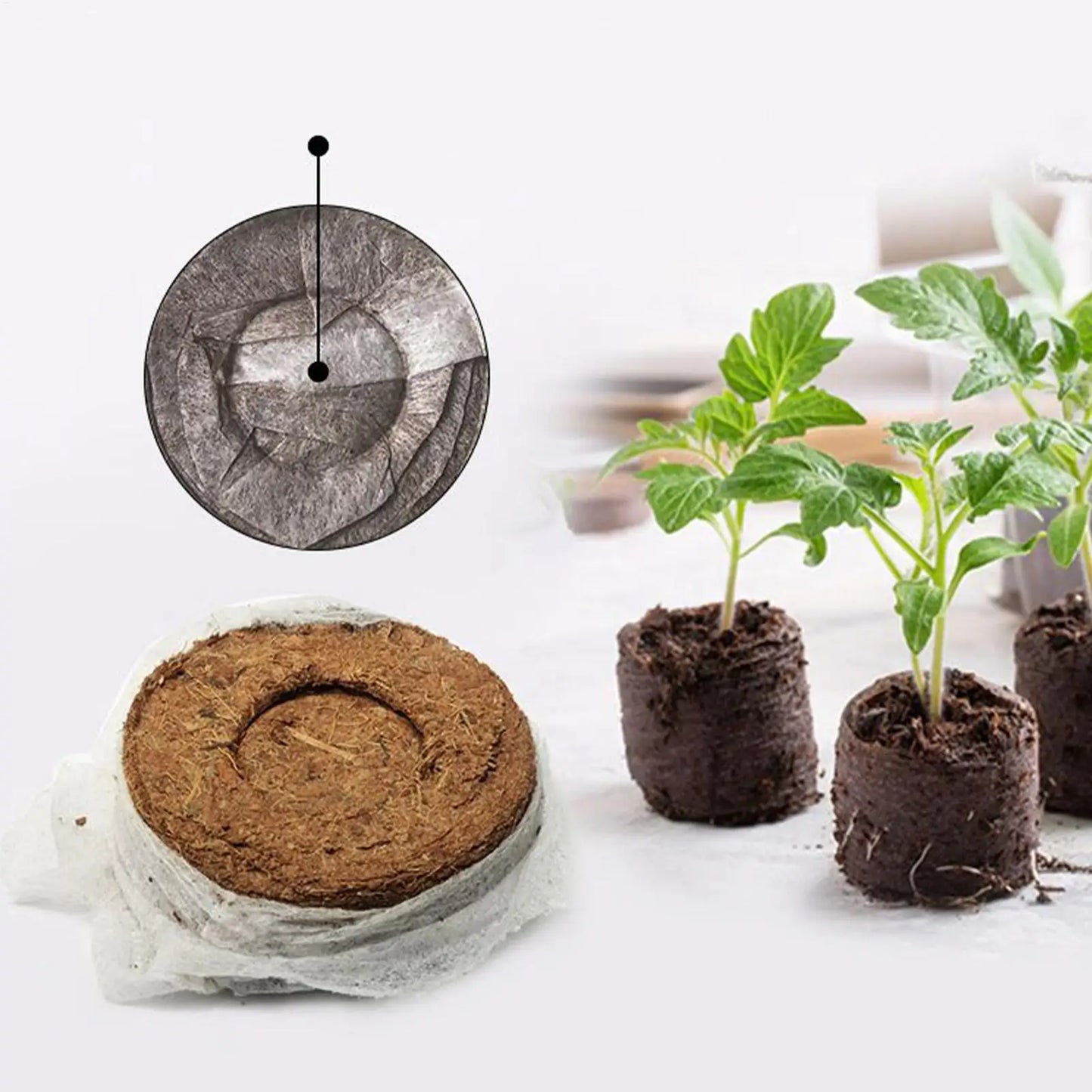 100Pcs 30mm Peat Pellets With Trays Seed Starting Soil Pellets For Indoor Outdoor Gardening Hydroponic Vegetable Flower Bed Farm