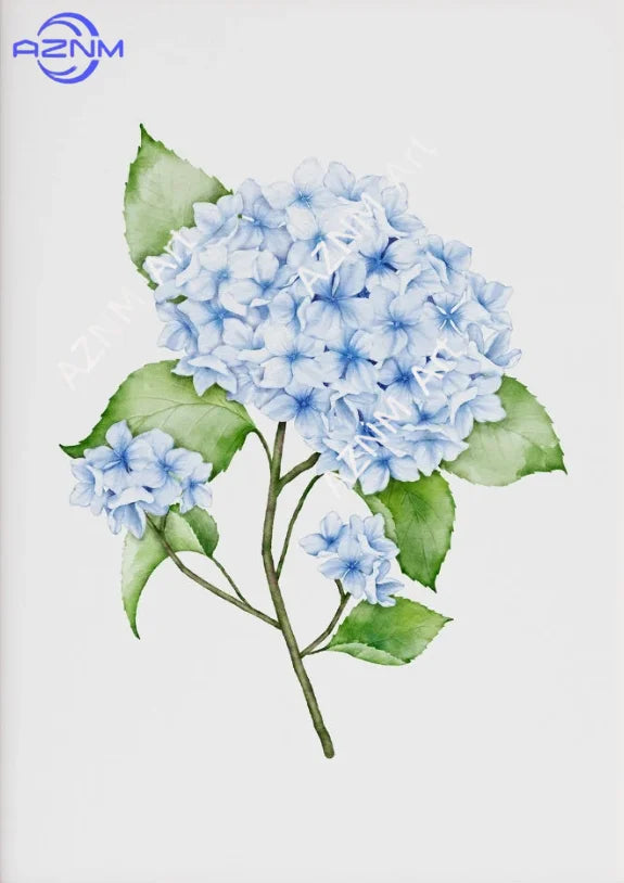 1PC/3PCS Hydrangea Wall Art Prints Light Blue Art Minimalist Flower Print Botanical Room Decor Hamptons Wall Art