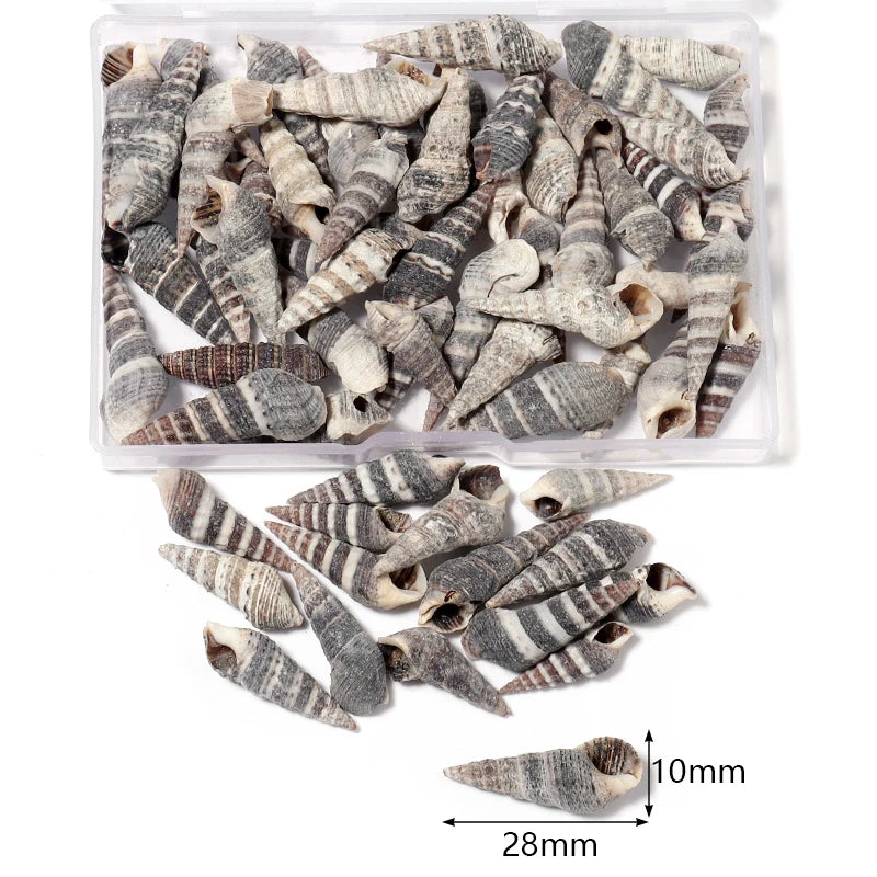 1 Box Sea Shells Spiral Shell Tiny Ocean Spiral Seashells Crafts Aquarium Decoration Landscaping Accessories Photography Props