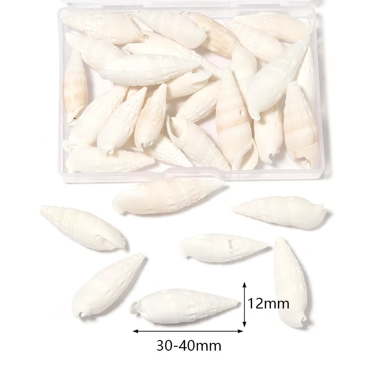 1 Box Sea Shells Spiral Shell Tiny Ocean Spiral Seashells Crafts Aquarium Decoration Landscaping Accessories Photography Props