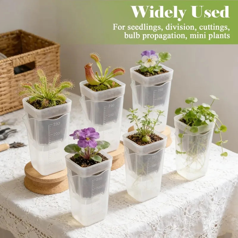 Automatic Watering Flower Pot Plastic Translucent Planter Drainage Holes for Succulent Cuttings Household Decor Gardening Tool